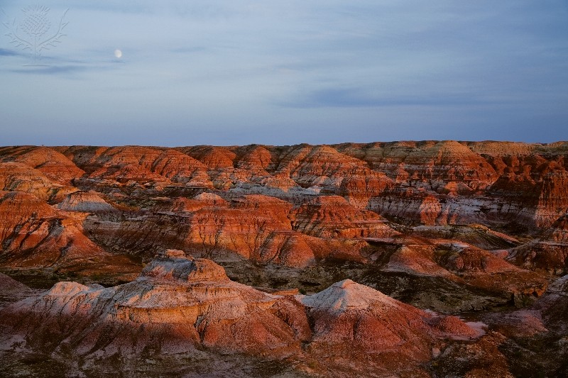 Rock outcrops in the Junggar Basin