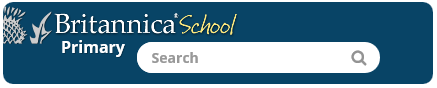 Search Box Example