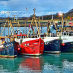 Teaching with Britannica School: The Impacts of Fishing