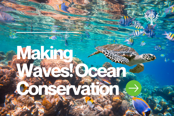 Making Waves: Ocean Conservation Resources for Libraries - Britannica