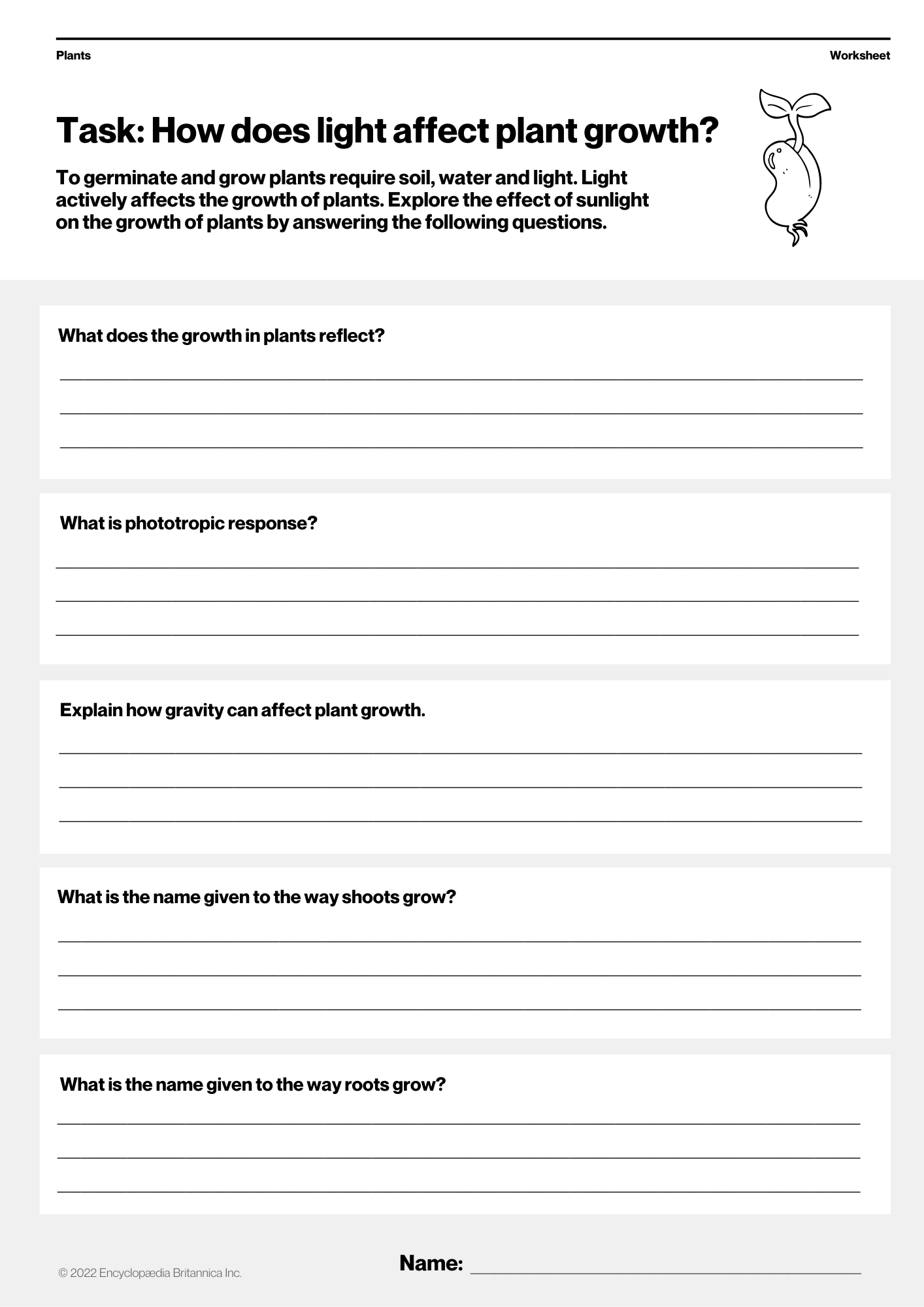 How Does Light Affect Plant Growth Worksheet