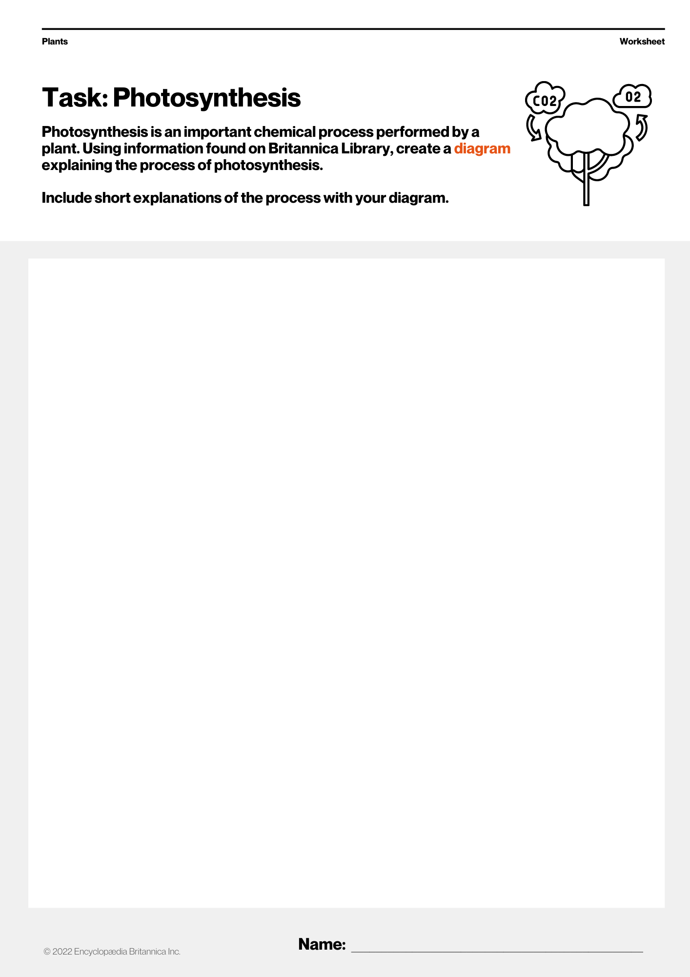 Photosynthesis Worksheet